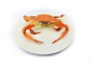 steam crab isolated on white background / cooked crab steamed seafood