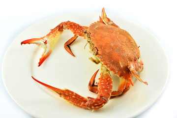 steam crab isolated on white background / cooked crab steamed seafood