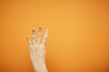 gesture, female hand shows four fingers isolated on orange background