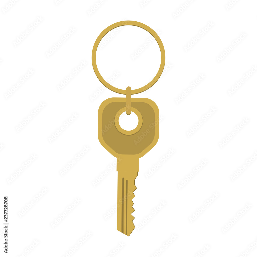 Wall mural Key icon. The key to the lock, the key to the house, door, or car. Vector Illustration.