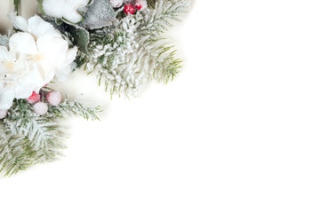 Christmas branches in the snow on a white background. There is free space for your inscription.