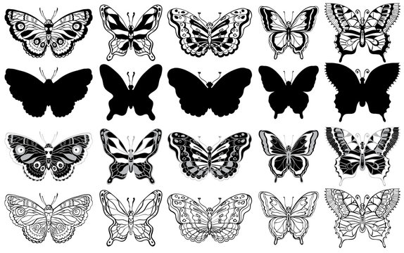 Set of butterflies. Silhouette, sketch and graphic icons