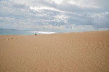 Fototapeta na wymiar Fuerteventura, Canary Islands, Spain 