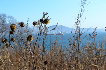 Obraz premium Far East, Sea of Japan, water surface, sea bottom, ships, rocks, mountains, horizon, autumn plants, tree silhouettes.