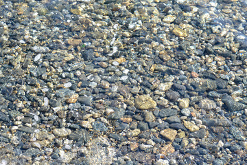 The Far East, the Sea of Japan, sea stones in the water, the seabed, shells, starfish.