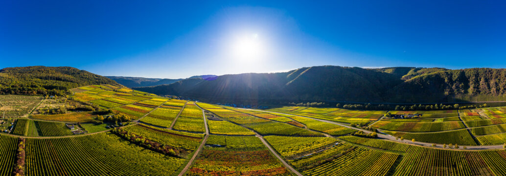 Germany, Cochem-Zell, Biedern, vineyards and Rueberberger Domherrenberg