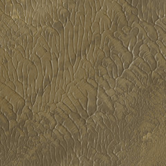 Gold acrylic paper textures on white background. Chaotic stylish abstract organic design.