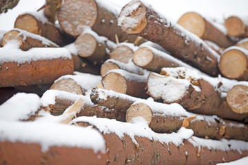Pile of firewood under the snow in the winter