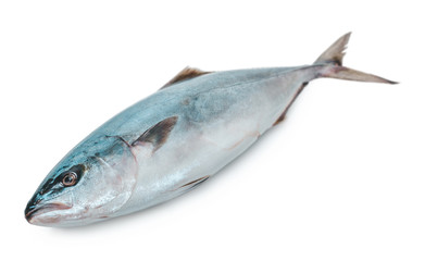 Obraz premium raw tuna fish