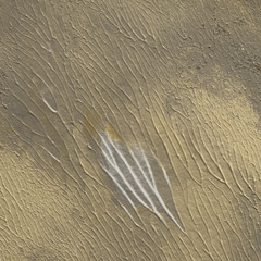 Gold acrylic paper textures on white background. Chaotic stylish abstract organic design.