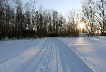 Obraz premium Winter landscape - frosty trees in snowy forest. Road in a wonderful winter forest
