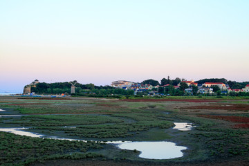 Wetland natural scenery