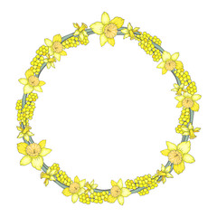 Floral Spring wreath with bright yellow narcissus and mimosa isolated on white background with space for text.