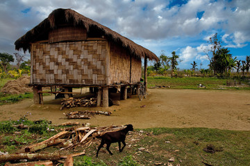 The Eastern India. The State Of Assam. Winter in the villages of the foothills of the Himalayas
