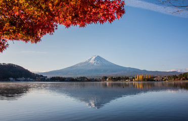 Mount Fuji, Autumn in Mt. Fuji, Japan - Lake Kawaguchiko , Colorful Autumn Season and Mountain Fuji with morning sunrise and red leaves at lake Kawaguchiko, Japan.