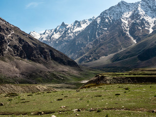 Fototapeta na wymiar Green Fields next to Gigantic Himalayan Mountain