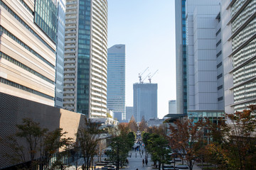 Yokohama Fall