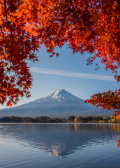 Mount Fuji, Autumn in Mt. Fuji, Japan - Lake Kawaguchiko , Colorful Autumn Season and Mountain Fuji with morning sunrise and red leaves at lake Kawaguchiko, Japan.
