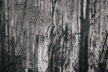 black and white texture of old boards. grunge