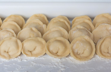 Homemade raw dumplings lie in rows on white board, traditional Russian and Chinese dumplings. Side view