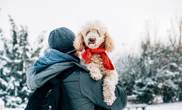 Happy pet and his owner having fun in the snow in winter holiday season. Winter holiday emotion. Man holding cute puddle dog with red scarf. Film filter image.