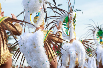 Carnival. gGroups and costumed characters, parade through the streets of the city