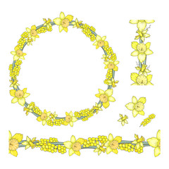 Set of loral elements with bright yellow narcissus and mimosa isolated on white background.  Spring wreath and brushes with hand-drawn cute flowers.