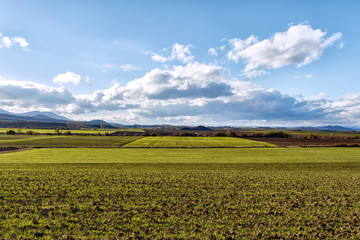 Fototapeta na wymiar rural landscape in basque country