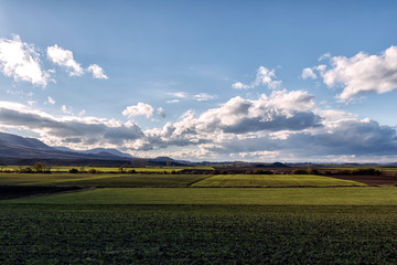 rural  landscape in basque country