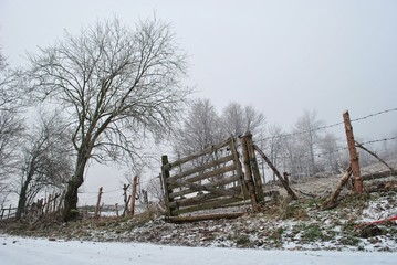 Pejzaż zimowy
