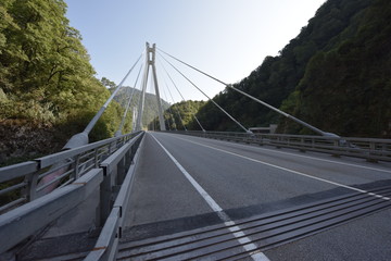 bridge over the river