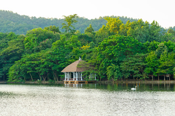 Fototapeta na wymiar A pavilion surrounded by green trees and lake