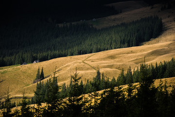 The sun illuminates the Carpathian mountain valley. Autumn in Carpathians mountain. Bright autumn. Location in western Ukraine, Carpathian Mountains