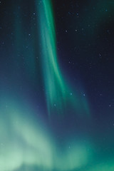 Obraz na płótnie Canvas Northern lights and stars on the night sky. Murmansk region, Russia