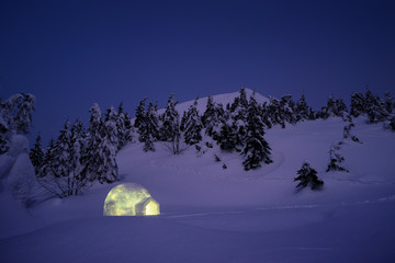 Winter wonderland scene with igloo snow
