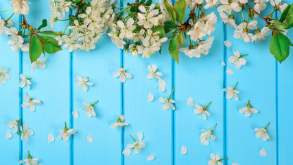 Spring white blossom on blue background. Copy space. Spring card. Spring nature background with lovely blossom. Springtime concept.