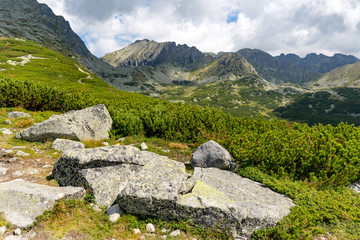 Fototapeta na wymiar Nice mountain scene with old stones on green meadow