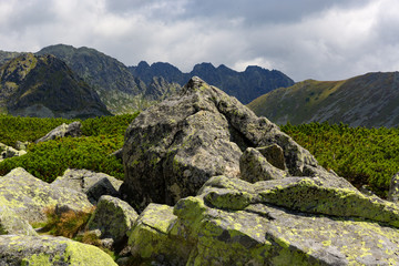 Fototapeta na wymiar Old stones in Tatra Mountains
