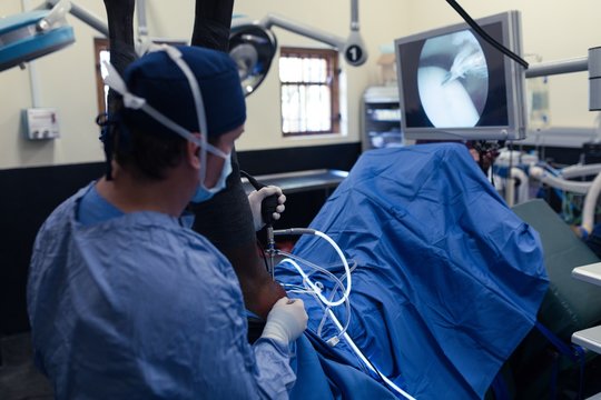 Female surgeon operating a horse in operation theatre