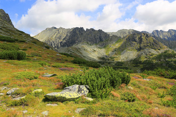 Fototapeta na wymiar nice mountain landscape in Tatras