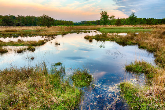 Wetlands and moorland on the national park Groote Zand near Hooghalen Drenthe during sunset