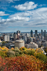 Fototapeta premium Montreal skyline viewed from the Mount Royal Park. Quebec, Canada.