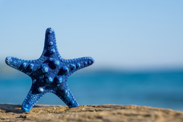 Fototapeta na wymiar Blue starfish standing on rock at the beach. Blurred blue sea on background