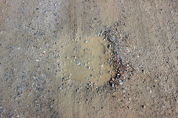 Muddy dirt road puddle circular shape tracks