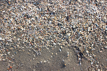Wet beach pebbles stones sand algae