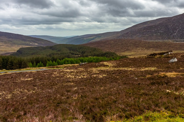 Wiclow Mountains National Park
