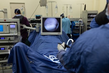 Surgeons operating a horse in operation theatre