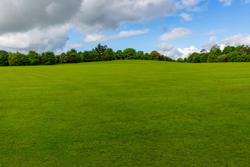 Kilkenny Castle Park -1