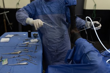 Surgeon operating a horse in operation theatre