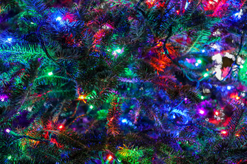 Obraz na płótnie Canvas Christmas tree close up background